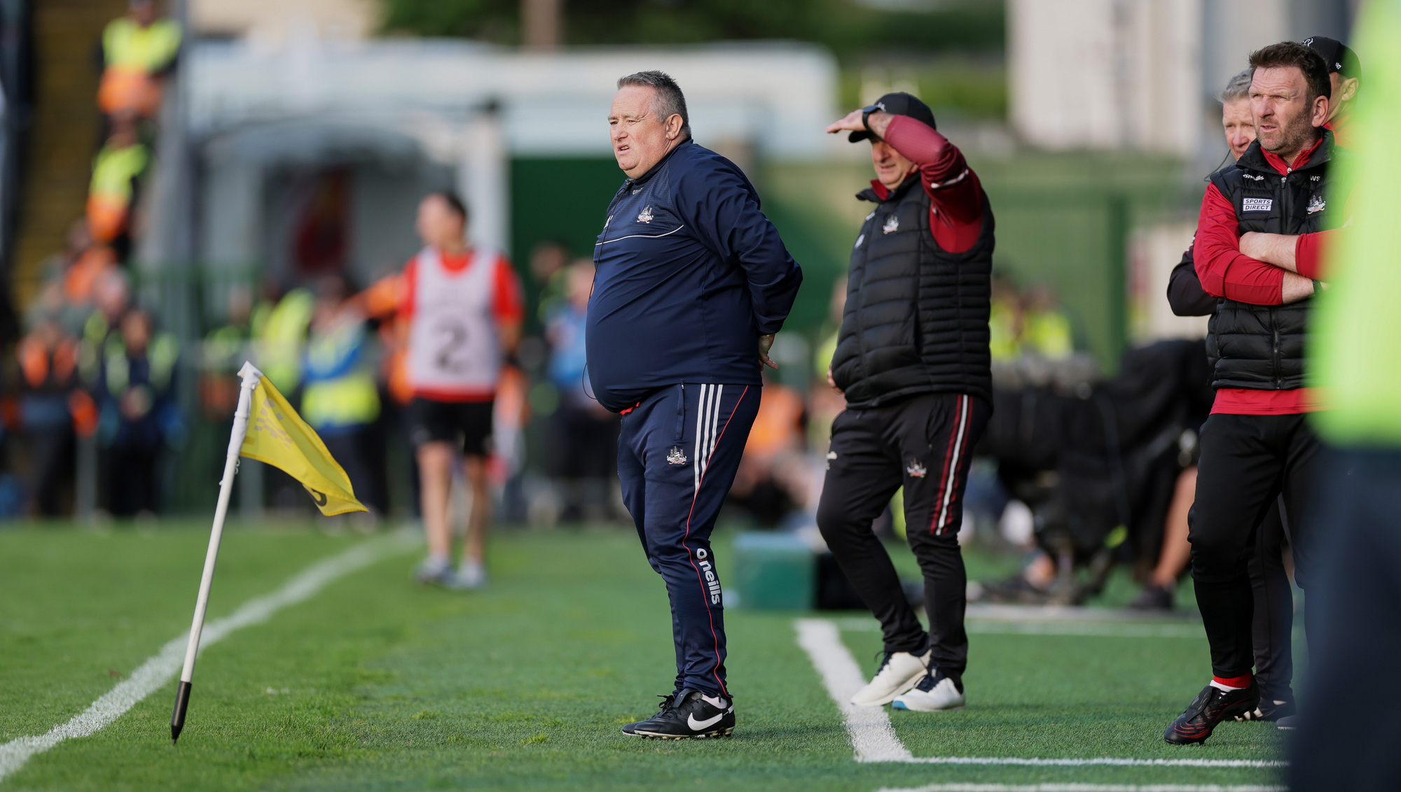 Pat Ryan: 'It was an honour for us to come up here and fight'
