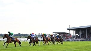 <p> Roscommon hosts an all-chase card on Monday. Picture: Healy Racing</p>