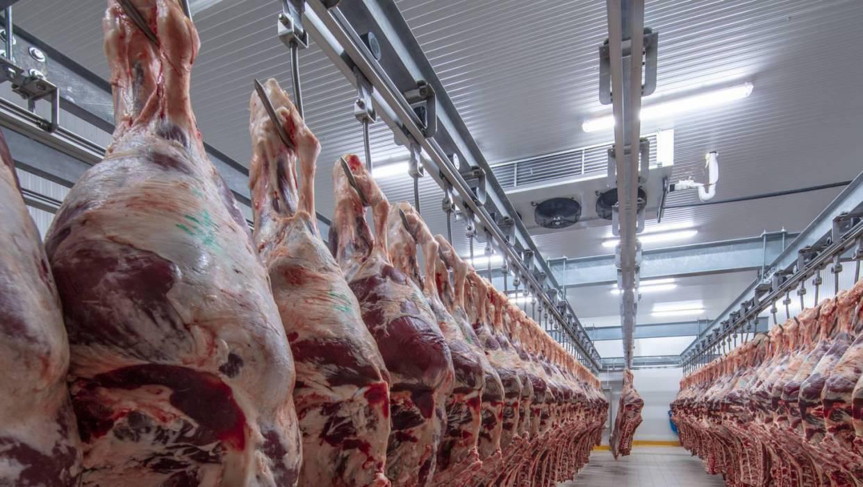 It comes after a further reduction of 10c/kg to beef prices this week was imposed by factories. File picture