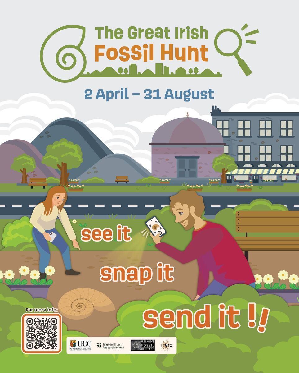The Great Irish Fossil Hunt continues until August 31