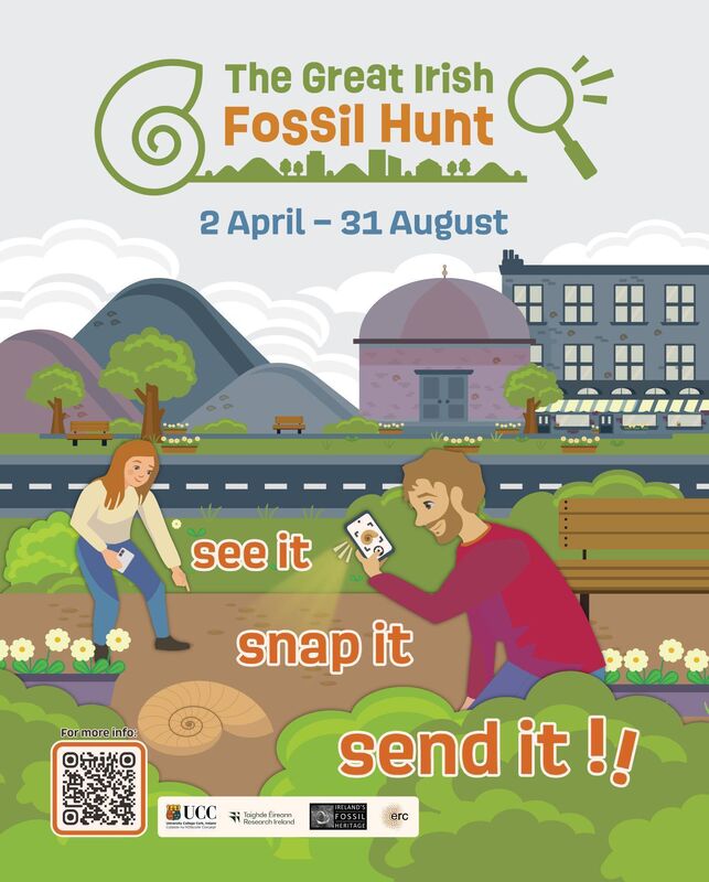The Great Irish Fossil Hunt continues until August 31