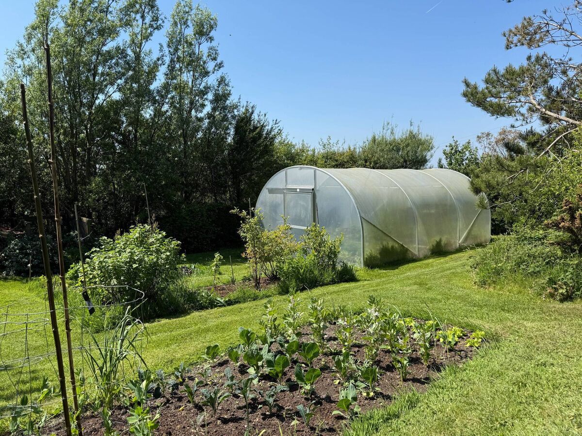 Green fingers at Four Blues