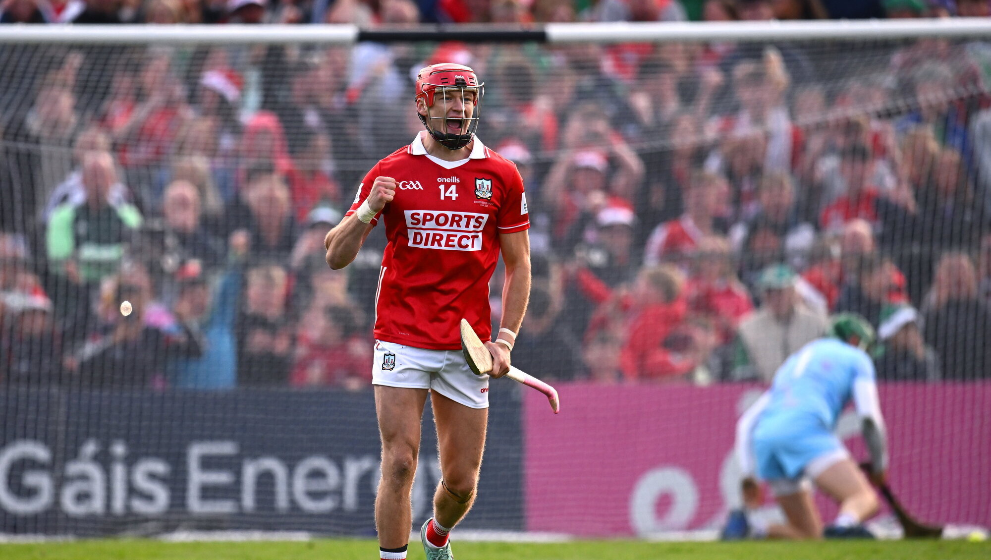 Jack Anderson: No final replay an own goal for hurling