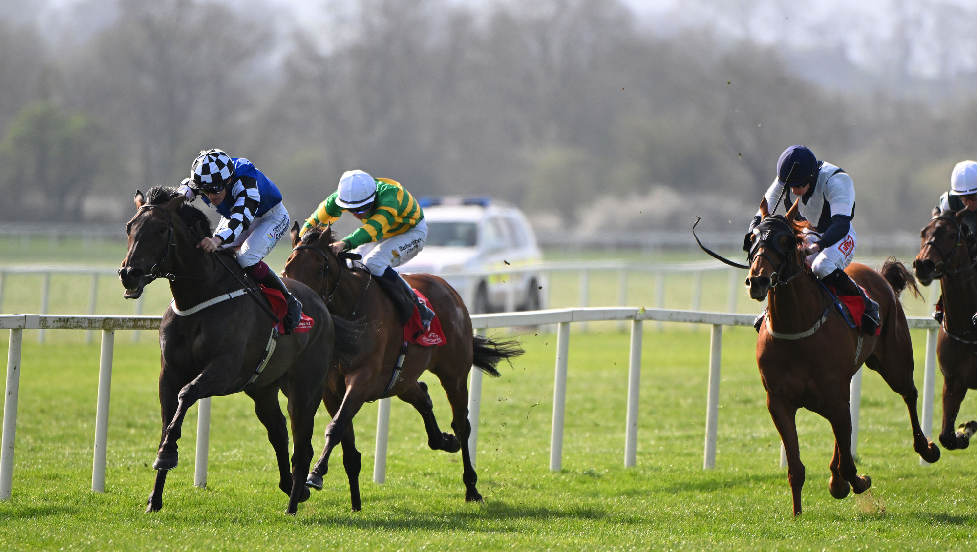 SMART PROSPECT: Bubble Gum made a winning Irish debut when scoring at Cork in April and can repeat the feat at the Mallow venue on Friday. 	Picture: Healy Racing