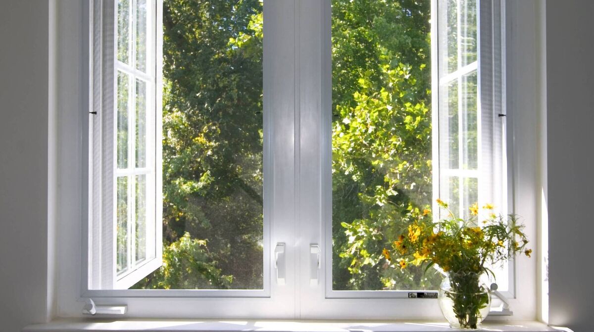 Trimming back trees and shrubs could transform the quality and quantity of light coming through your windows. File picture