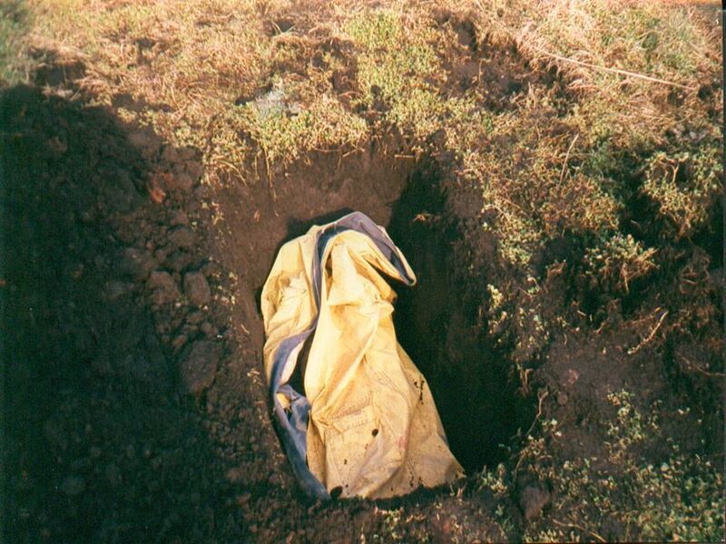 A pig dressed in a coat and placed in a grave. Mick Swindells says the coat has been put on the pig to simulate a real concealment, for the purpose of training a cadaver dog. 