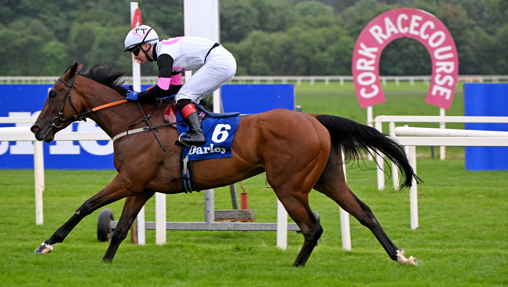  CORK: Magical Hope and Colin Keane win for owners Steven Weston, Ballylinch Stud, Paul Shanahan and Patrick John O'Brien and trainer Paddy Twomey. Pic: Healy Racing