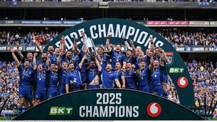 <p>Leinster were on top all game and rightfully came away with their first piece of silverware in four years. Picture: Brendan Moran/Sportsfile</p>