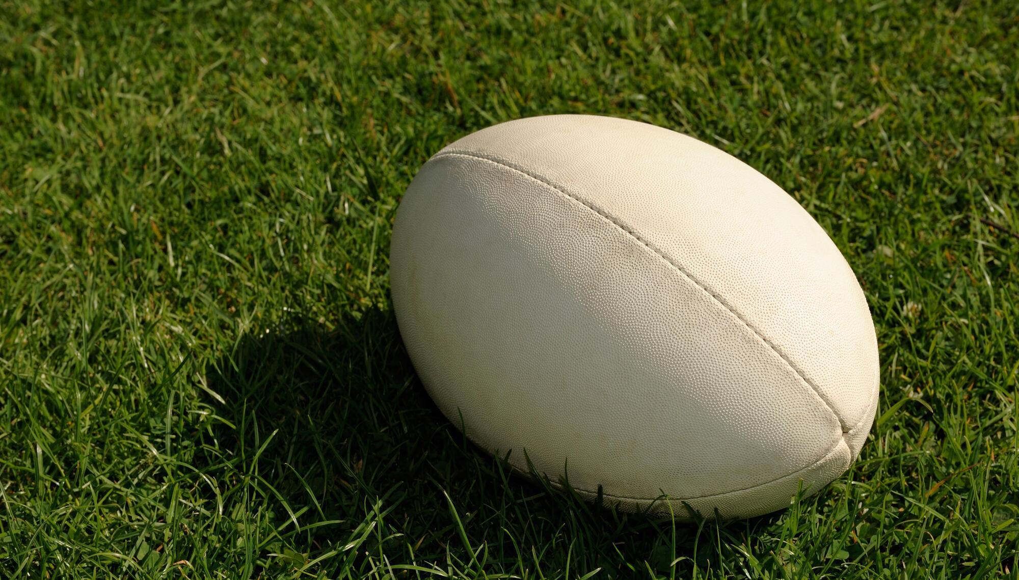 Top 14: Grenoble slump to third promotion-relegation play-off loss in a row against gamely Perpignan