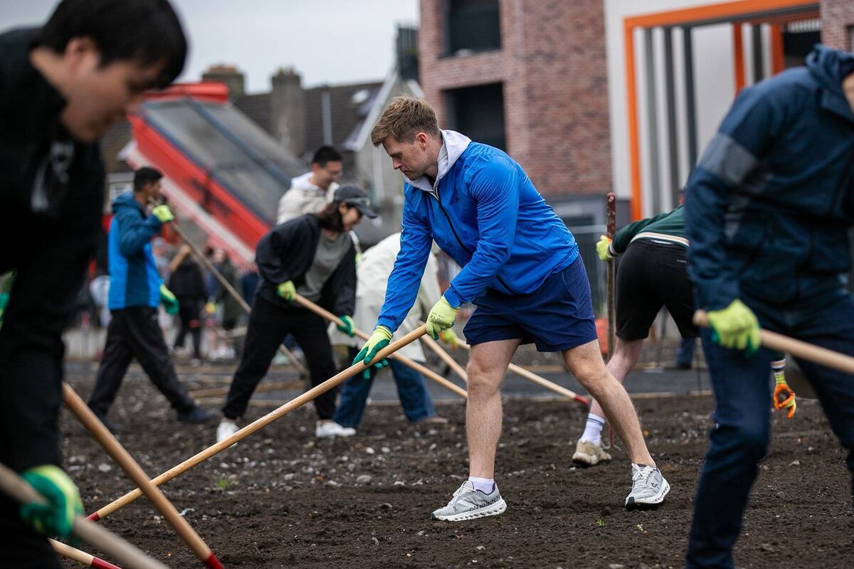 Difference Day at Dolphin House where 300 volunteers laid lawns, planted gardens, built raised beds and allotments, beautifully tarmacked pathways throughout, built and arranged musical instruments everywhere, erected a greenhouse, and laid a purpose-built all-weather astroturf football pitch for the kids.Photo: Denis O'Reilly Difference Day at Dolphin House where 300 volunteers laid lawns, planted gardens, built raised beds and allotments, beautifully tarmacked pathways throughout, built and arranged musical instruments everywhere, erected a greenhouse, and laid a purpose-built all-weather astroturf football pitch for the kids.Photo: Denis O'Reilly
