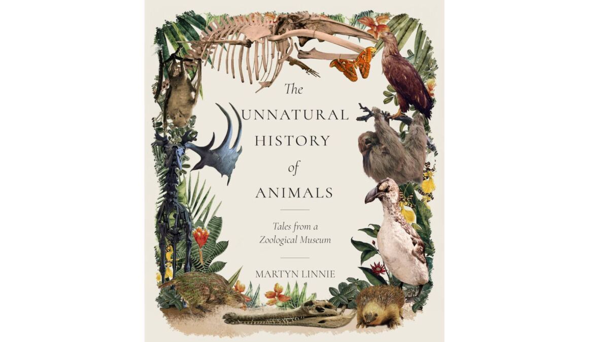 The Unnatural History of Animals: Tales from a Zoological Museum by Martyn Linnie