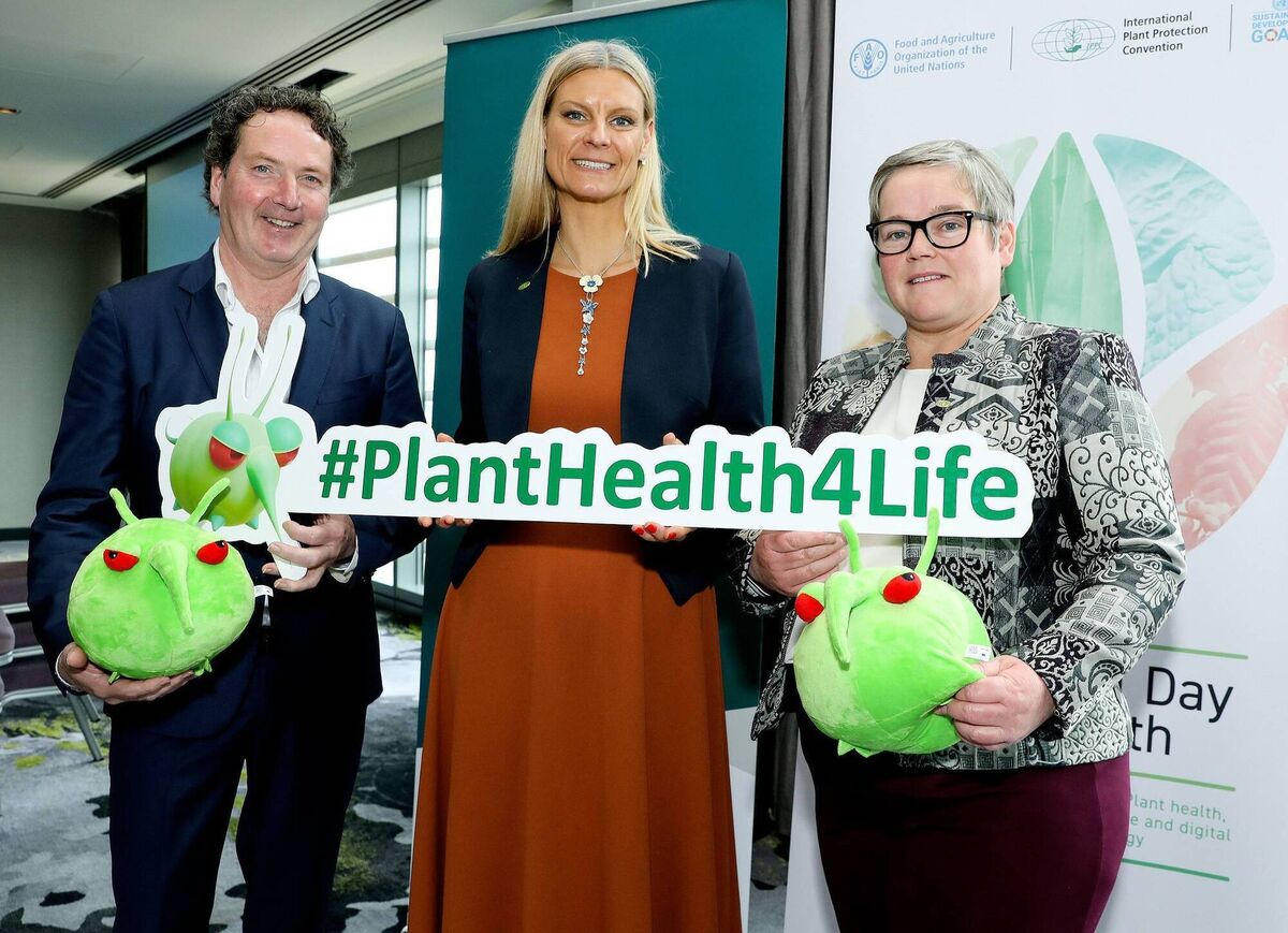 The #PlantHealth4Life campaign urges travellers not to bring back any plants, flowers, seeds, fruits, or vegetables from outside the EU, as these items may harbour plant pests or diseases detrimental to native flora. Additionally, consumers are advised to buy plants and seeds online only if accompanied by a valid phytosanitary or plant health certificate. Picture: Maxwells