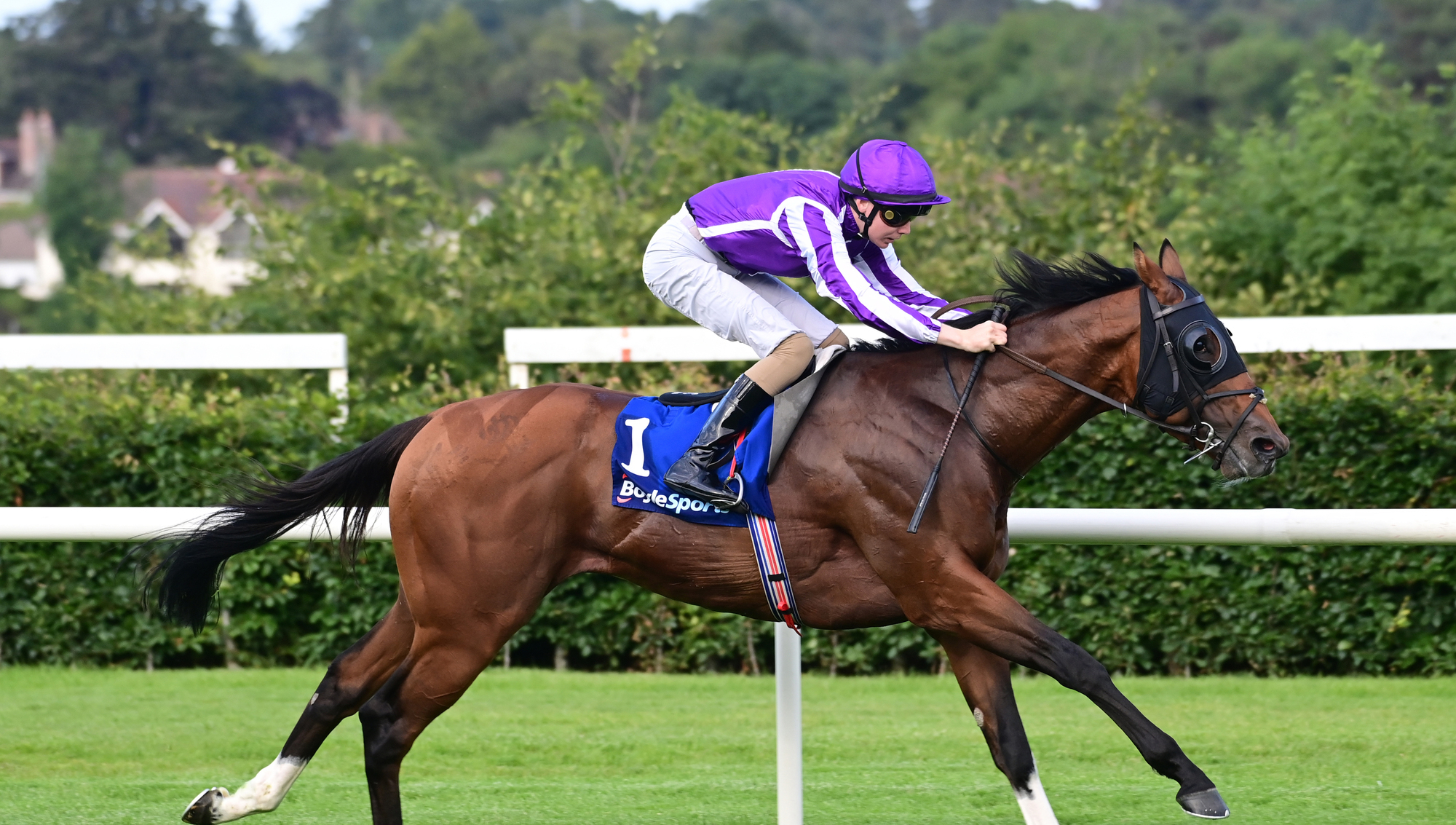 Mississippi River blitzs rivals at Leopardstown