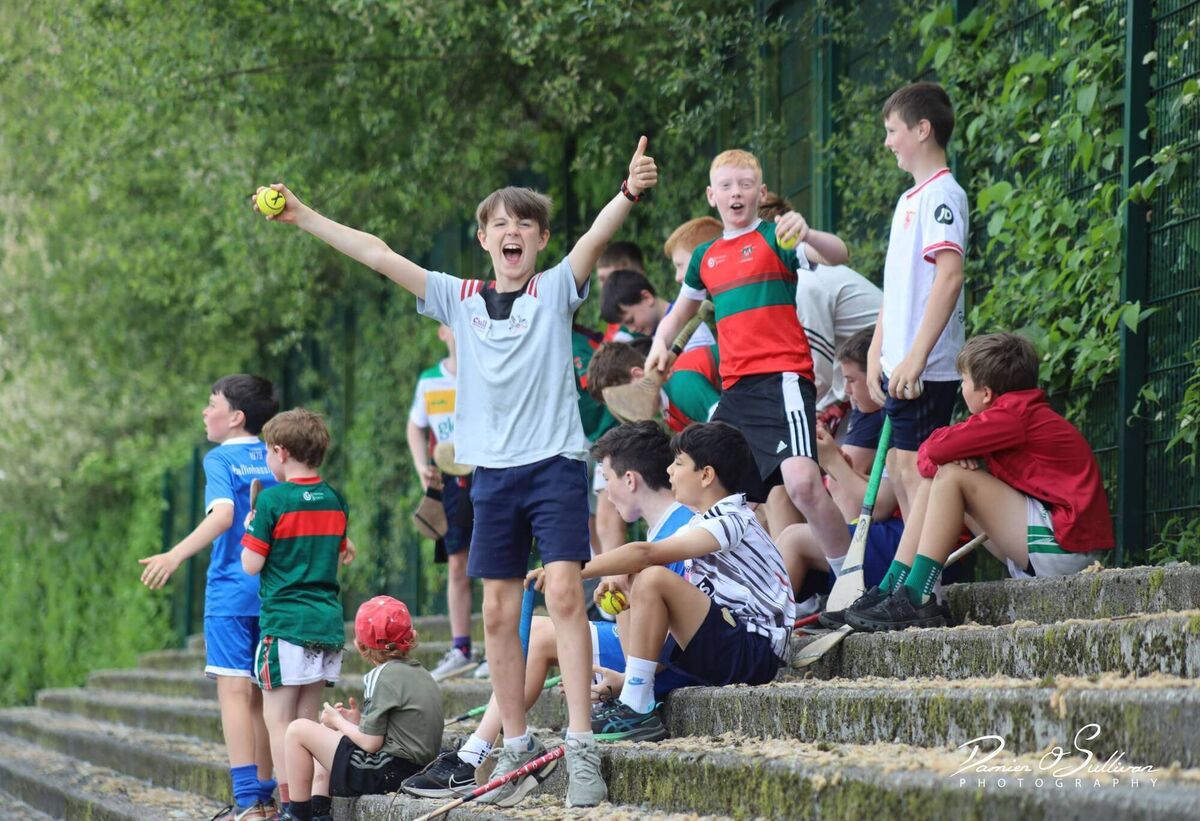 Supporters cheer on Ballinora.