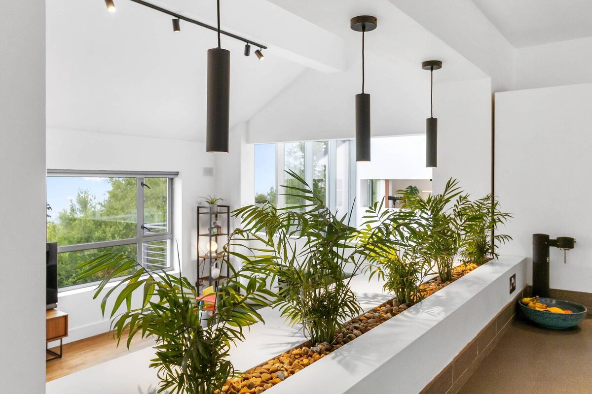 
                        Going nuts for planters
                    