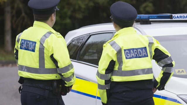 <p>Picture: Dan Linehan.</p>