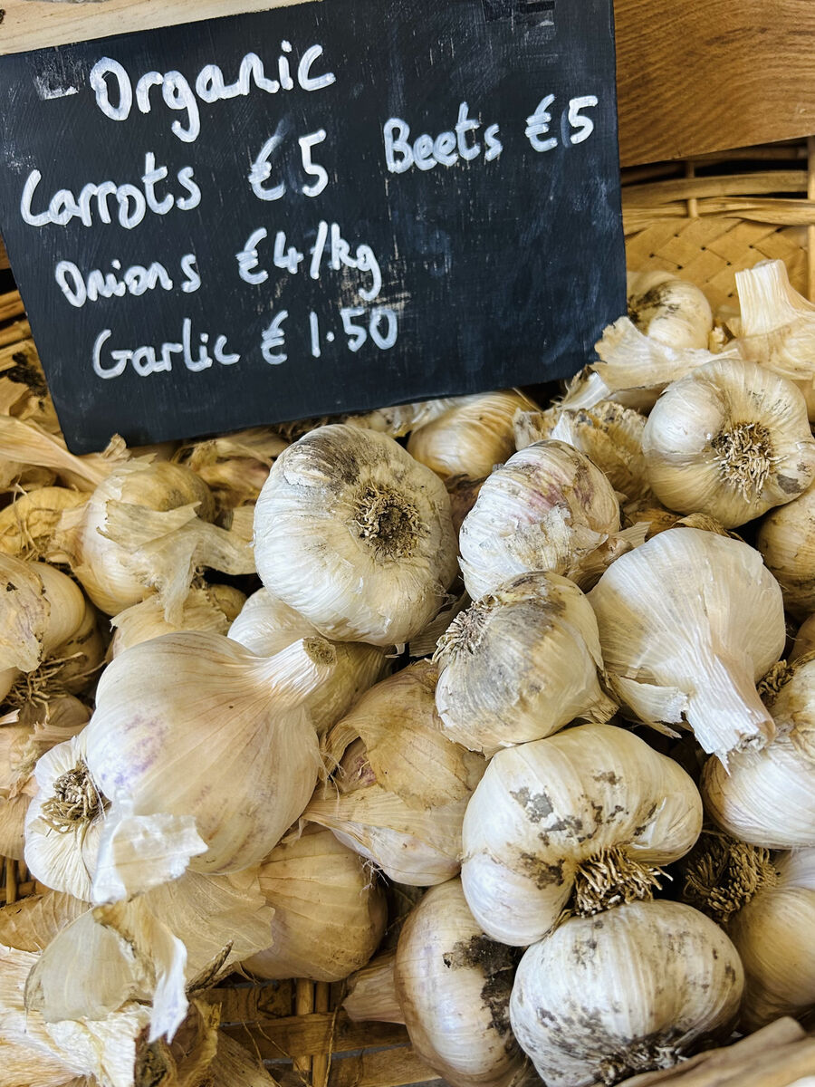 Garlic on sale at Dripsey Castle