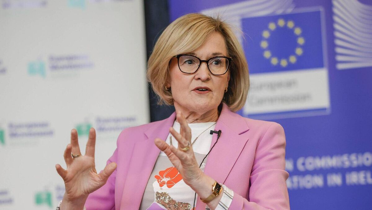 Mairead McGuinness is widely expected to challenge for the Fine Gael nomination. Picture: Conor McCabe