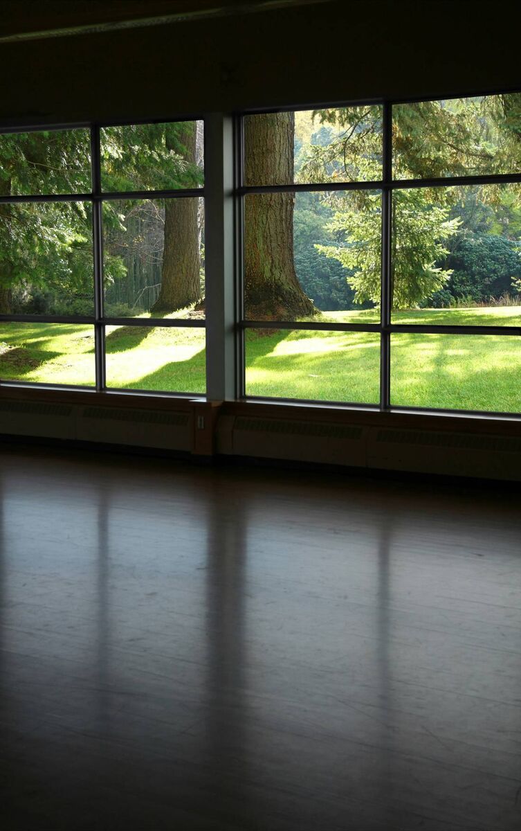 If you have a reasonable budget available, then best to invest in design that optimises for light. If you have a reasonable budget available, then best to invest in design that optimises for light.