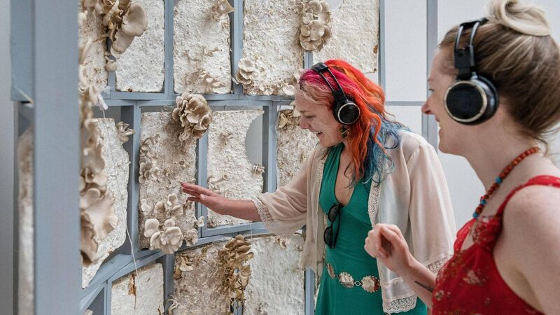 Cork Midsummer Festival art reviews: Aideen Barry, Sinéad Gleeson, Amanda Coogan, Sarah Lou Kinneen
