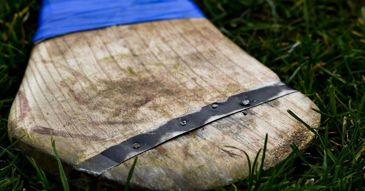 Good news for hurley makers as ash trees evolving resistance to dieback ...
