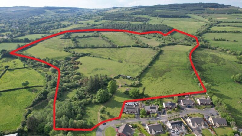 95-acre Clare farm fetches in excess of AMV post-auction 95-acre Clare farm fetches in excess of AMV post-auction