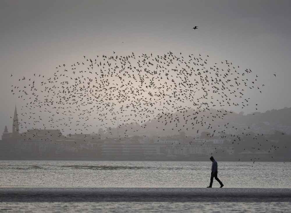 Terry Conroy's image ‘Marching to the Pipes’ was taken in Dooagh in Achill Island, Co Mayo; a finalist in the ‘People and the Coast’ category.  