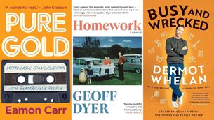 <p>Pure Gold, by Eamon Carr; Homework by Geoff Dyer; and Busy and Wrecked by Dermot Whelan.</p>