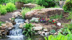 <p>Your garden's colour can bring joy in summer but its other characteristics, including texture, are also important for year-round interest, says Peter Dowdall. File picture</p>