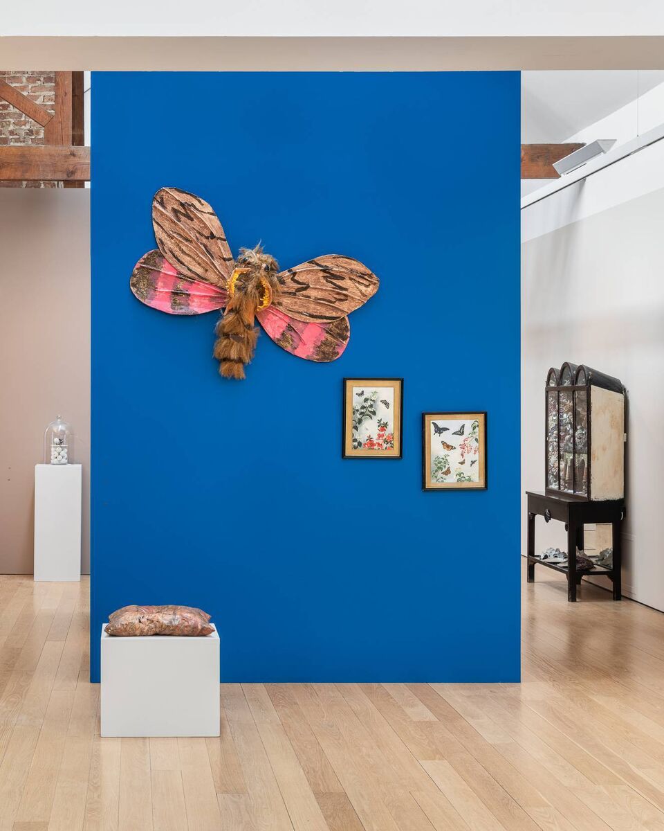 A view of some of the art in Kunstkammer  at Lismore Castle Arts. Picture: Jed Niezgoda