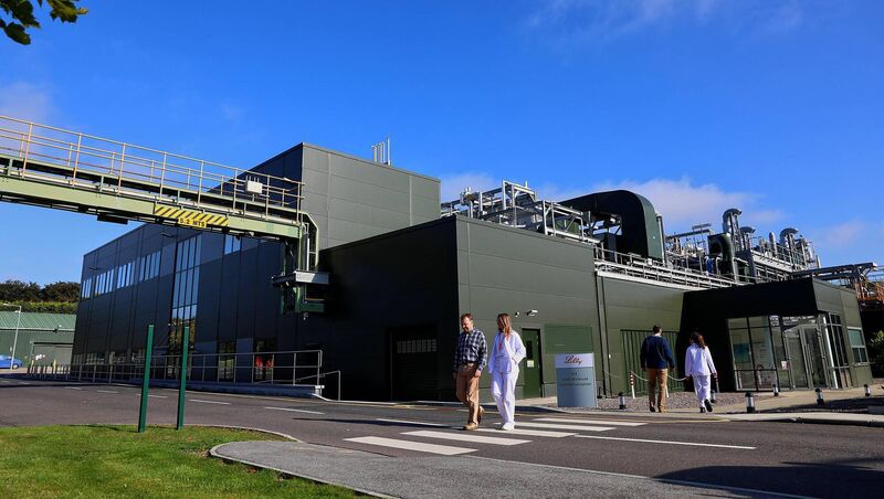 Union members at the Kinsale branch of US pharmaceutical giant Eli Lilly welcomed a Labour Court recommendation urging their employer to allow for collective representation by Siptu during workplace disputes.