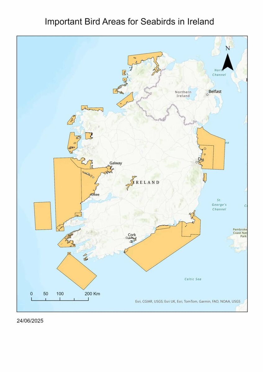 A map of important bird areas around Ireland, focusing on seabirds