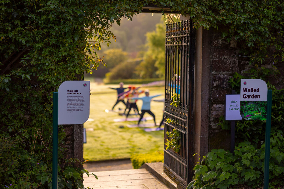  Yoga at Mount Congreve. Photograph: Patrick Browne