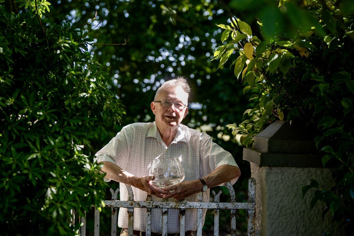 John Mulcahy, the first Irishman to win Mastermind, holds the trophy at the gate of his home in Whitechurch, where his love of knowledge continues in retirement. Picture: Chani Anderson