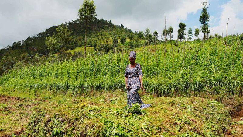 More than 30 years on, genocide against the Tutsi in Rwanda reminds us we said 'never again' many times before