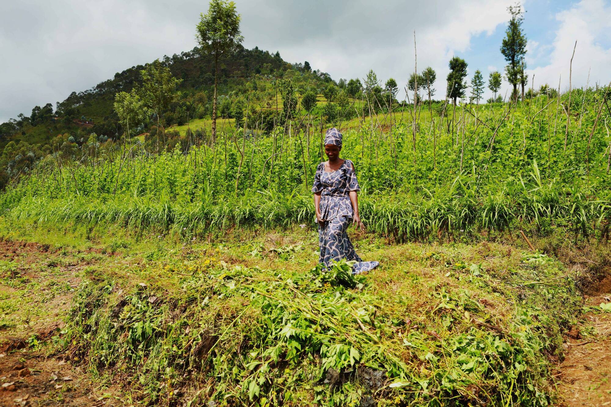 Béatha Usabyimana: 'In Rwanda, sometimes you will see small patches of land with a single tree growing. It is to remember those we lost during the genocide.' Picture: Gary Moore
