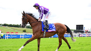 <p>Minnie Hauk and Ryan Moore. Pic: Healy Racing</p>