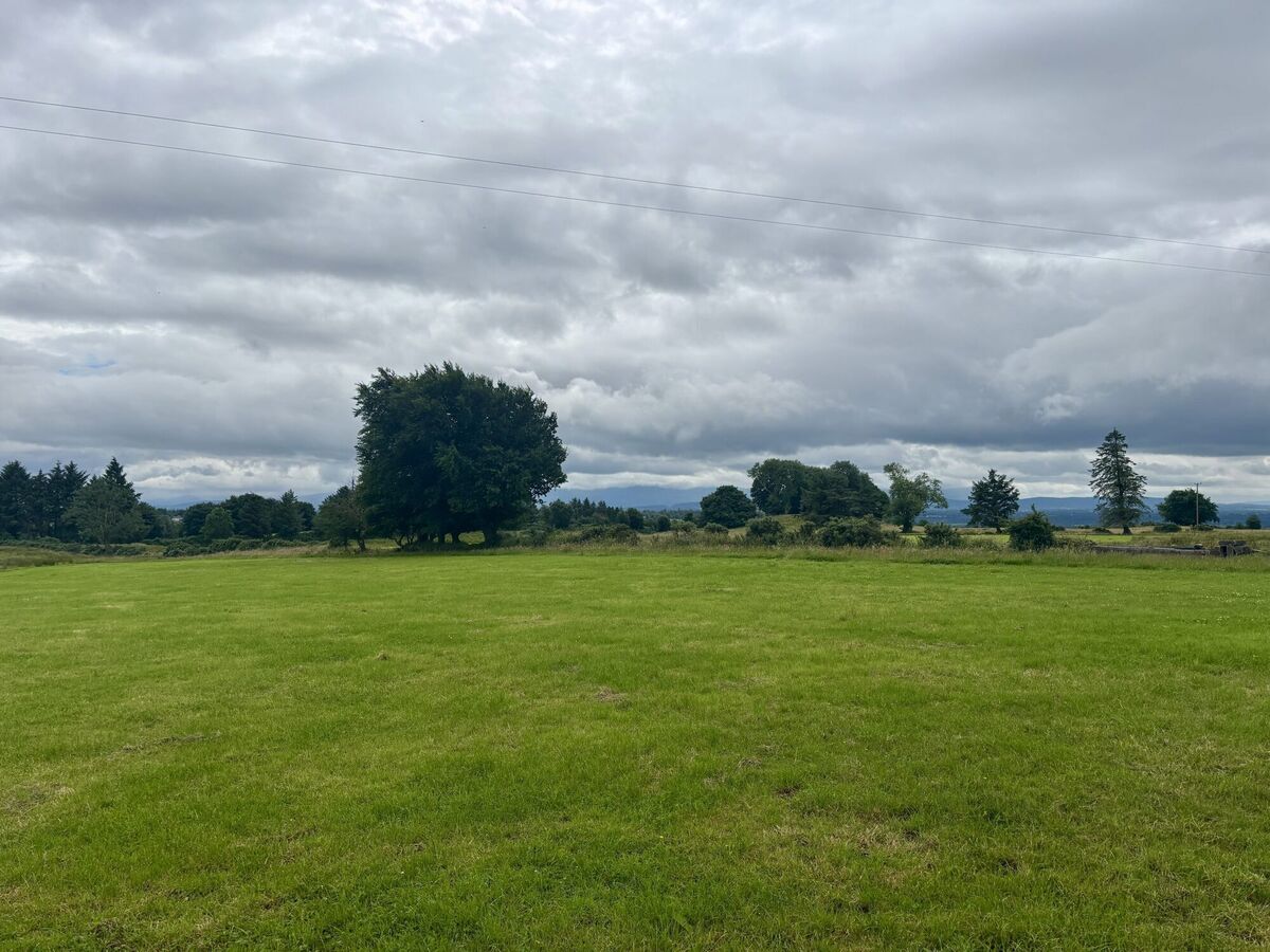 The entire holding is in grass, and the agent explained there are no entitlements coming with the property.