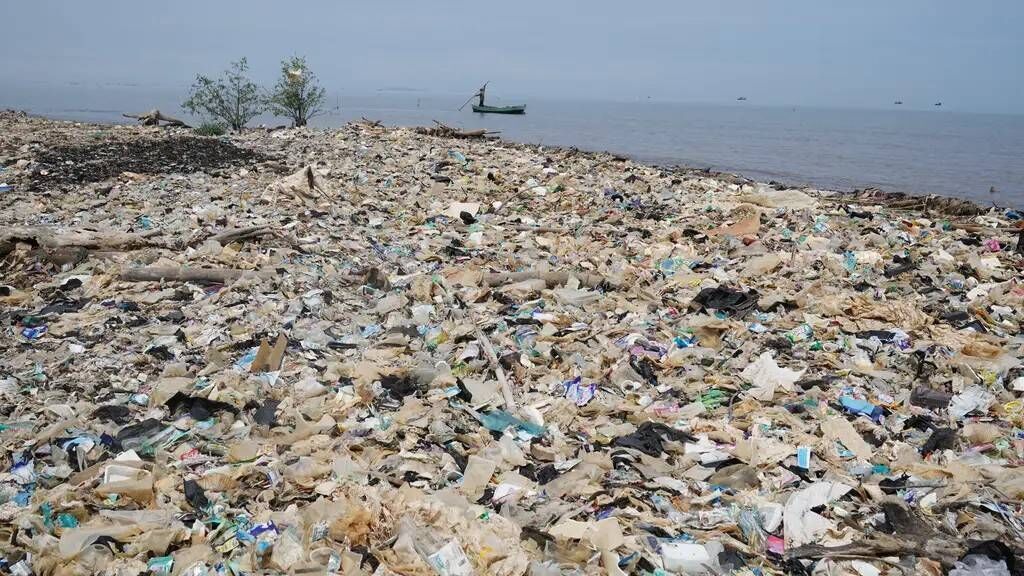 While scientists are only beginning to understand the long-term implications for human health, biodiversity and climate, studies show harmful effects of plastics and their chemicals on animals and ecosystems.