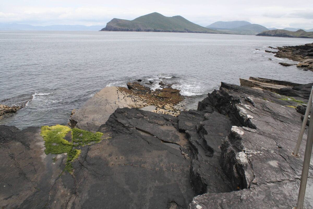 Path of tetrapod on Valentia Island, County Kerry, just below and to the right of the seaweed. The tetrapod was a predecessor of mammals and lived 385 million years ago in the Devonian period. Picture: Dan MacCarthy Path of tetrapod on Valentia Island, County Kerry, just below and to the right of the seaweed. The tetrapod was a predecessor of mammals and lived 385 million years ago in the Devonian period. Picture: Dan MacCarthy