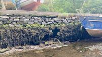 Abandoned boats causing damage to scenic West Cork pier, says councillor 