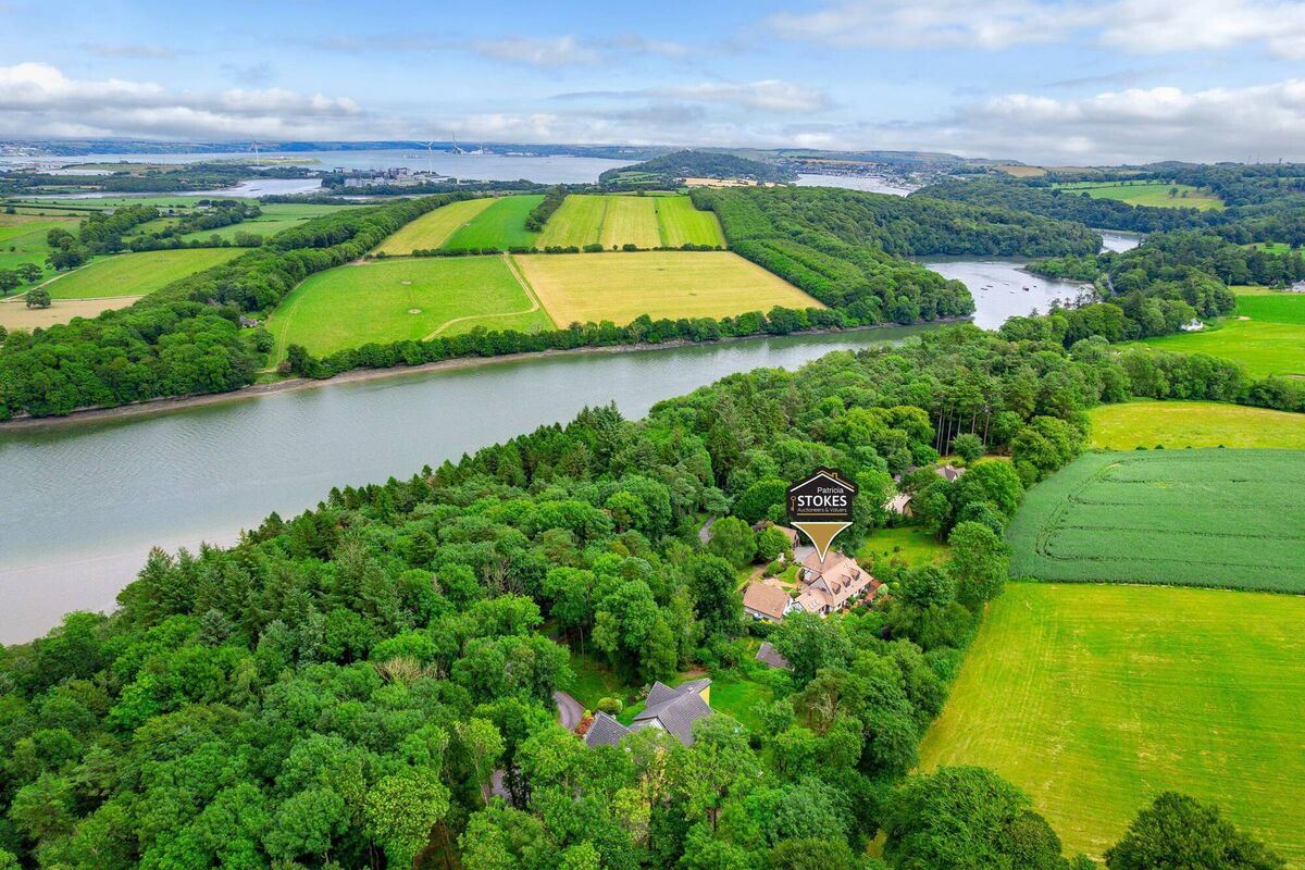 Wood and water setting above Drakes Pool and Crosshaven