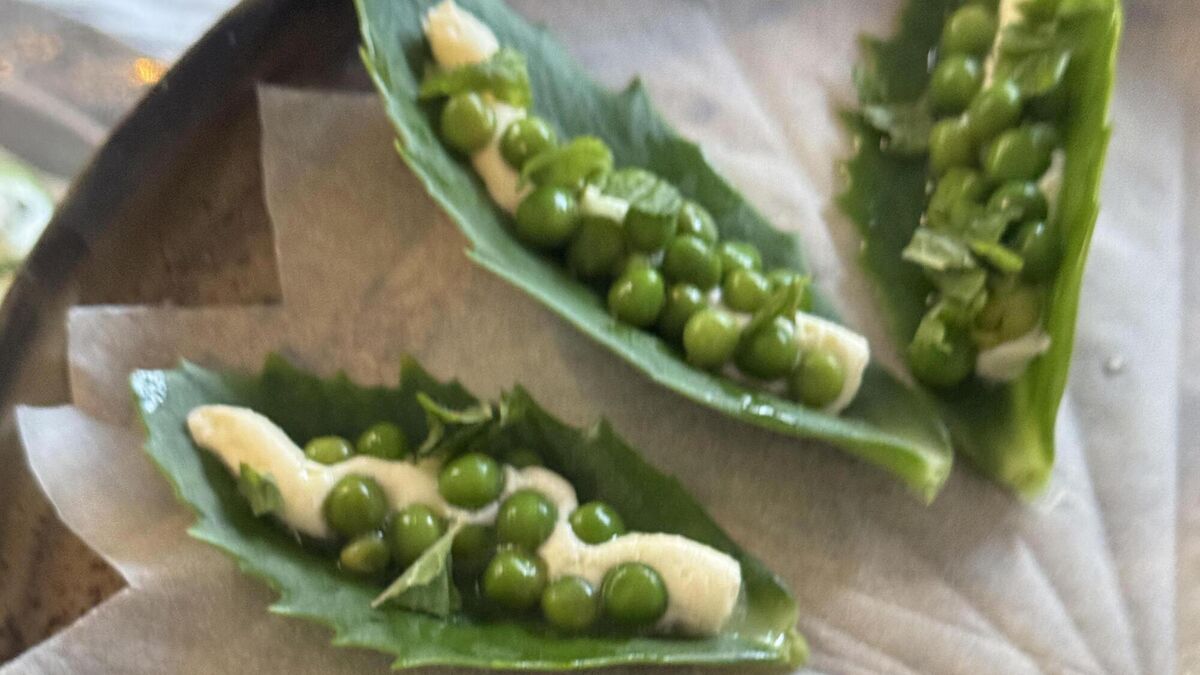 Sedum Leaf with a Whipped Lemon Ricotta & Peas