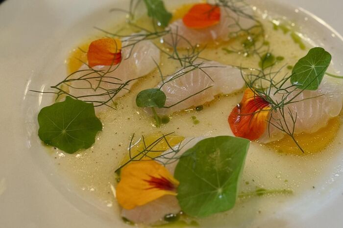White Fish & Golden Beet Crudo with Nasturtium, Lemon & Honey