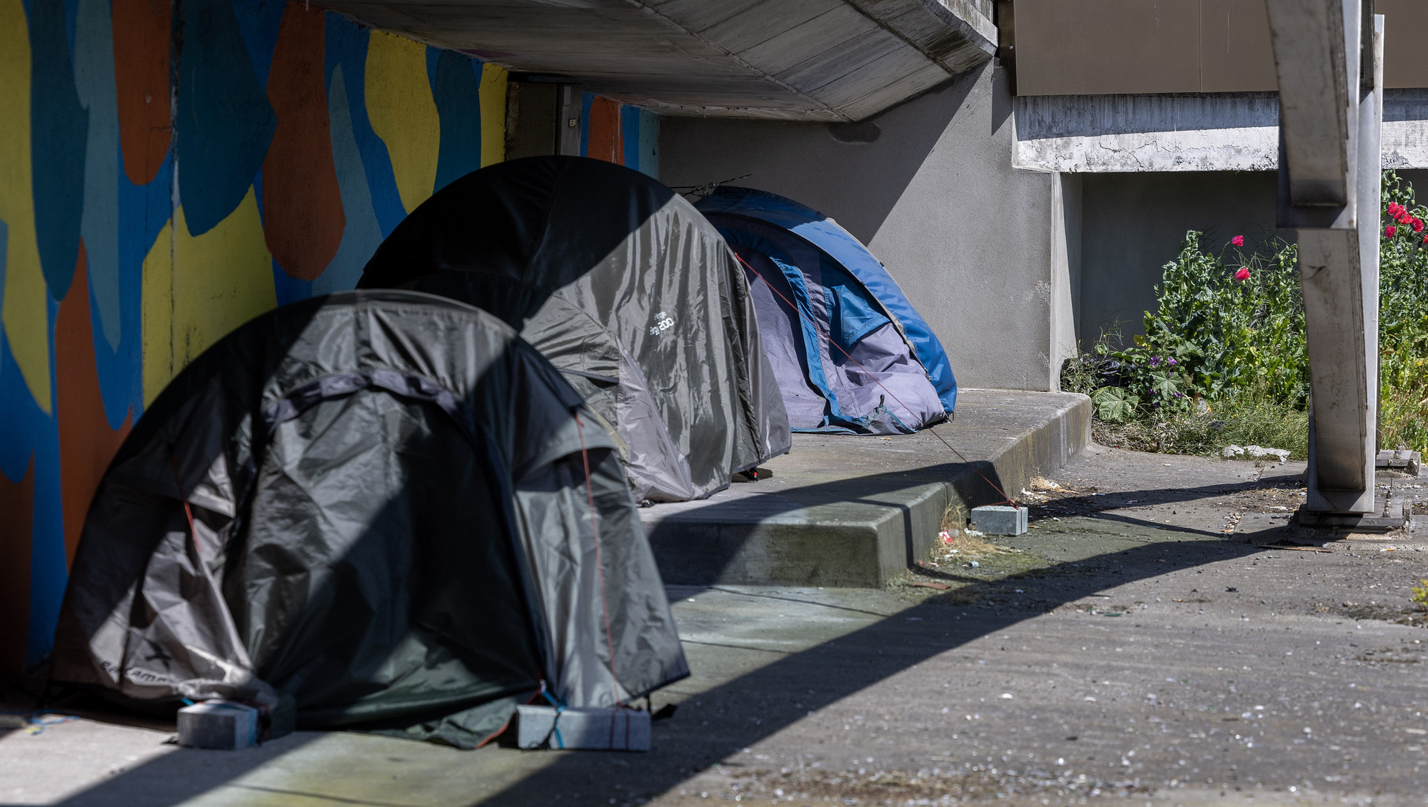 Homeless tents slashed in Dublin in rising ‘hate crime’ attacks, says support group