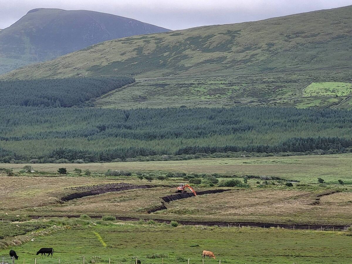 The Conor Pass where plantation foresty and peat excavation are underway in the new National Park. Pictures: Pádraic Fogarty