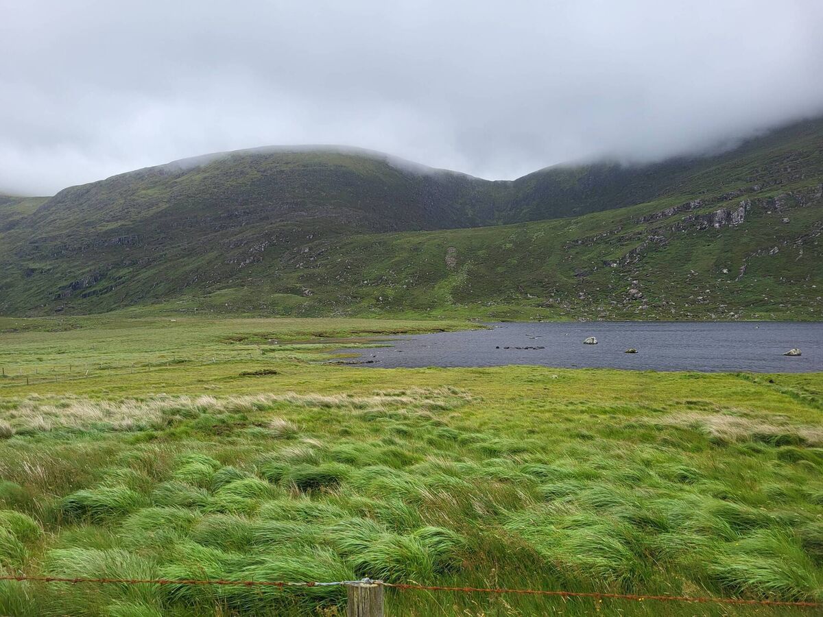 Sheep grazing continues in the new National Park. No plans have been published to address ecological pressures. Pictures: Pádraic Fogarty