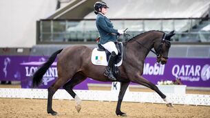 <p>Para rider Angela Lyons on Woodcroft Santa Cruz. Members of the Irish para dressage team have had to launch a fundraising drive to ensure they can compete in the European Championships in The Netherlands in September. Pictures: Lukasz Kowalski</p>