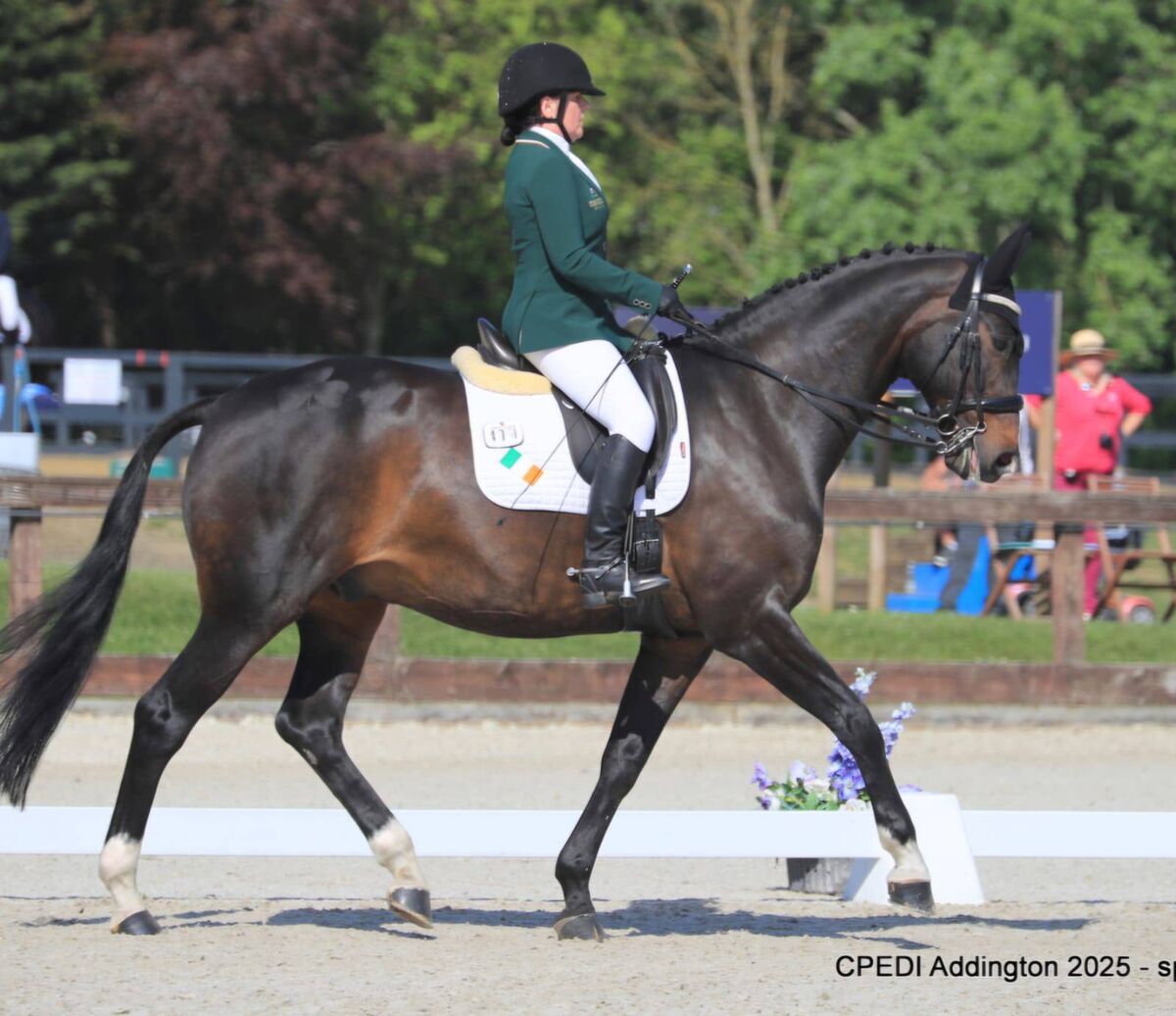 Para rider Katie Reilly on Keystone Dawn Chorus. She is ranked number one in the world at under-18 level.