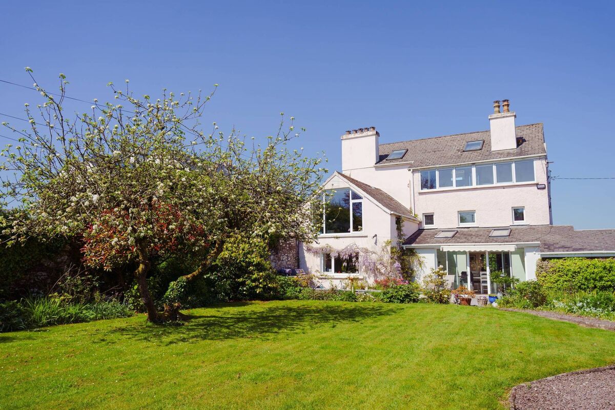 Apple of owner's eye Apple of owner's eye